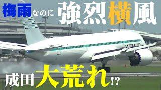 【成田空港】今年の梅雨はどこ行った？雨ではなく風に翻弄される成田ではゴーアラウンド連発！それでもひたすら着陸に挑む飛行機たちを追った！