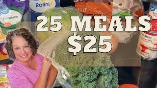 25 MEALS FOR $25 || EXTREME BUDGET MEALS || CHEAP MEALS #budgetfriendly #frugalliving #mealplan