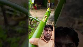 Bamboo boom! Boom! Boom!#shorts #bamboohandcraft #shortsfeedbamboobow