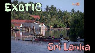 Exotic Sri Lanka and its popular cricket culture