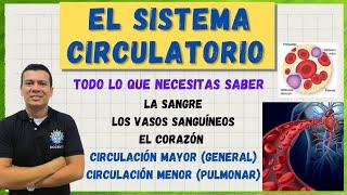 EL SISTEMA CIRCULATORIO (CARDIOVASCULAR) G. ROJOS, BLANCOS, PLAQU. LA CIRCULACION humana MAYOR Y MEN