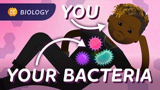 Bacterial DNA & Genetics: Crash Course Biology #38