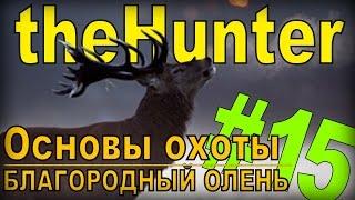 the Hunter - Благородный олень [Основы охоты] #15