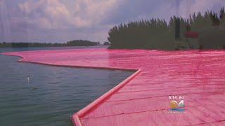 Artist Christo Made Miami 'Pretty In Pink' In 1983