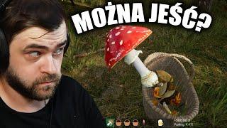 Czerwony muchomor i mikrodawkowanie? - Mushroom Season #7