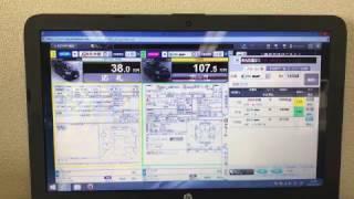 Online Bidding at Japanese Auto Auctions