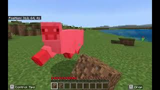 Minecraft Lets Play 1