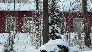 Winter Wonder Land Finland