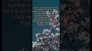 Leave room for God’s wrath #christian #romans #romans12 #bible #biblereels #shorts #shortsfeed