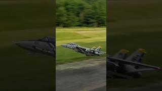 F-14D Super Tomcat High Alpha Pass #aviation #rc #rcplane