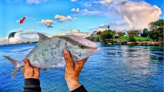 Hooking into some ACTION at Diverse Fishing Spots!