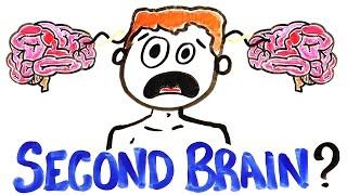 What If You Had A Second Brain?