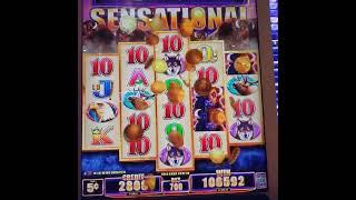 My BIGGEST Win on Buffalo Diamond Slot Machine High Limit Bonus Jackpot Handpay