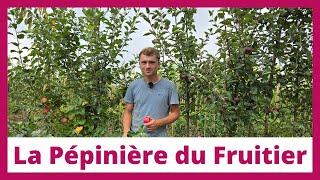 Produire des arbres fruitiers en agriculture biologique à @lapepinieredufruitier