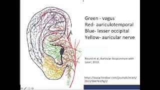 An Introduction to Auricular Acupuncture for Pain Management