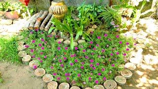 Gardening Ideas are extremely intelligent and creative | TEO Garden