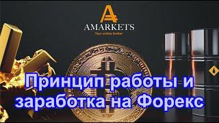 Принцип заработка на форекс и его работы. Разбираем на примере брокера AMarkets прямо в терминале.