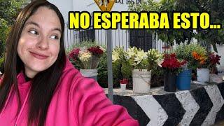 Esto es lo que pasa cuando te dejas llevar por las calles de la gran Ciudad de México 