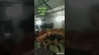 यूपी पुलिस का वायरल वीडियो | TRENDING TOPICS RAJ TTR | समाजवादी सॉन्ग सपा SP Akhilesh #shorts #news