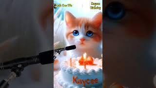 HAPPY BIRTHDAY TO YOU KAYCEE | HAPPY BIRTHDAY SONG WITH NAMES | Adorable Cute Cat  #cat #cute
