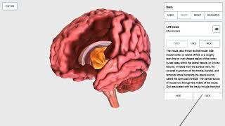 How To: BioDigital Human zSpace