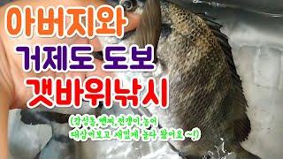 거제도 도보 갯바위낚시 :) 감성돔,뺀찌,전갱이,농어 대상어보고 캠핑낚시 즐기고왔어요~