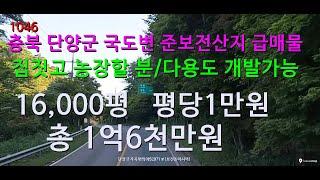 [번호 1046}충북 단양군 국도변 준보전산지 평당1만원