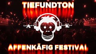 TIEFUNDTON LIVE@AFFENKÄFIG-FESTIVAL (LIVE TECHNO SET)