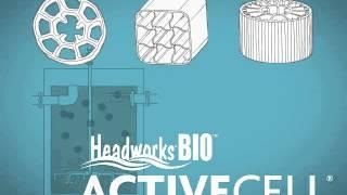 Headworks Bio Part 1 Introduction