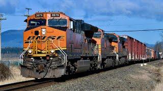 Freight Trains in Western Washington 2023