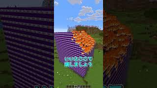 これはマイクラのバグなの？#マインクラフト #minecraft