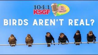 KSGF Mornings with Nick Reed - Birds Aren't Real?