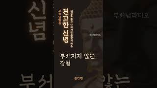 견고한 신념 | 금강경 | 의심을 뚫고 나아가는 금강의 마음 | 부처님말씀
