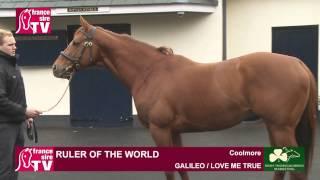 Coolmore Stud Ireland - Irish Stallion Trail 2015