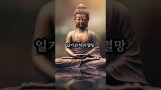 폭력을 쓰는 자의 업보 #부처님 #부처님말씀 #진리 #인생