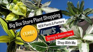 Big Box Store Plant Shopping Costa Farms NEW Plants and Planters Spring 2025 Plant Haul Shop With Me