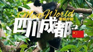 【中國旅遊2024】成都必去景点介绍 | China attractions | 中國旅遊攻略 | china travel 2024 | 成都 旅游 | 雲遊中國