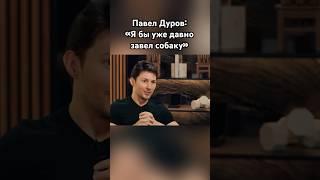 Павел Дуров: «Надеюсь я собак не обидел» #павелдуров #дуров #озвучка #знаменитости