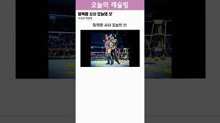 탐욕왕 사샤 오늘의 샷
