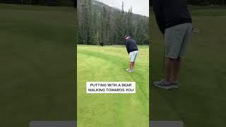 Imagine trying to putt with a bear walking towards you 