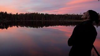 Skogssjön med sköna ljuset