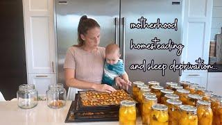 fall reset and prepping for winter on the homestead amid sleep deprivation