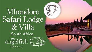 Mhondoro Safari Lodge & Villa | Sustainable Luxury in the stunning Welgevonden Game Reserve