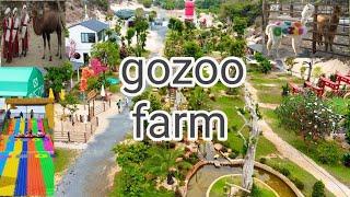 /GOZO FARM / phước hải vũng tàu / khu vui chơi check in hót nhất hiện nay #vlogvietnam #travelvlog