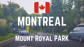 Driving in Montreal (4k) Exploring the Mount Royal #canadalife#driving#canada