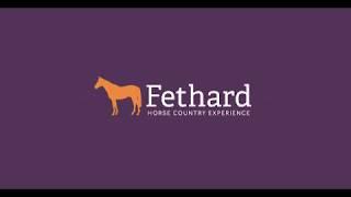 Fethard Horse Country Experience - Take a look inside!