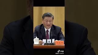 "谷爱凌是爱吃馅饼"，大会堂的掌声和笑声，这一幕爱了！