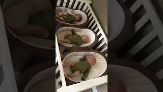 When you’re a First Time Mom AND it’s TRIPLETS!!! #youtubeshorts #momlife #triplets