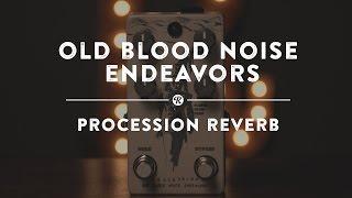 Old Blood Noise Endeavors Procession Reverb | Reverb Demo Video