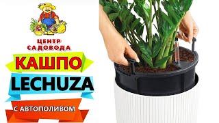 Супер КАШПО с АВТОПОЛИВОМ! Lechuza! Как пользоваться?